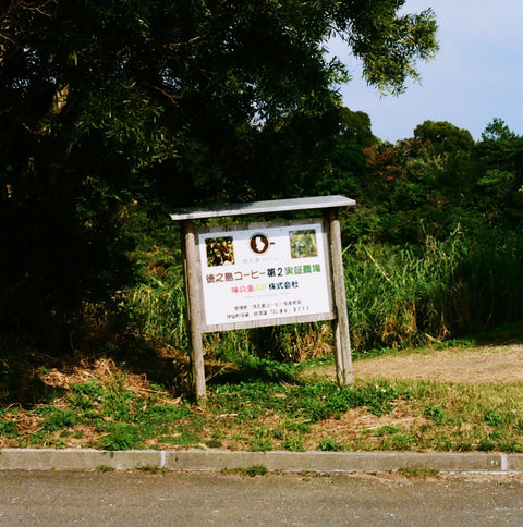 日本がコーヒー生産国になる日——徳之島から始まる一杯の物語