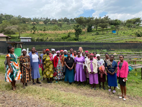 Brew it like Spring Valley!