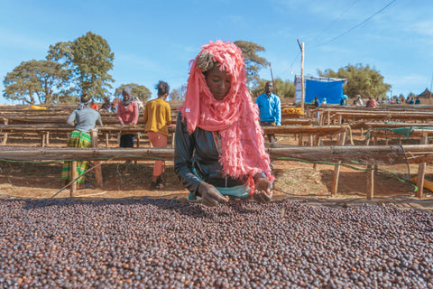 「コーヒーを愛する全ての人をダイレクトトレードで繋ぐ」TYPICA誕生までの軌跡