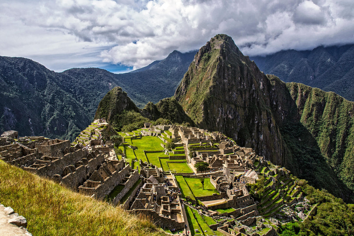 PROMPERÚ: ペルー産コーヒーの卓越性を訪ねて