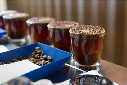 Meet Our Partners: Ally Coffee