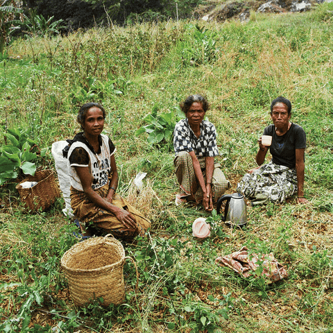 オリジンプロフィール