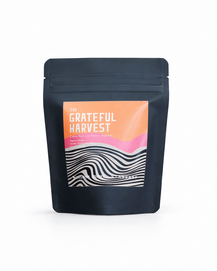 コーヒー豆付録：Costa Rica - Los Robles Natural by BASKING COFFEE