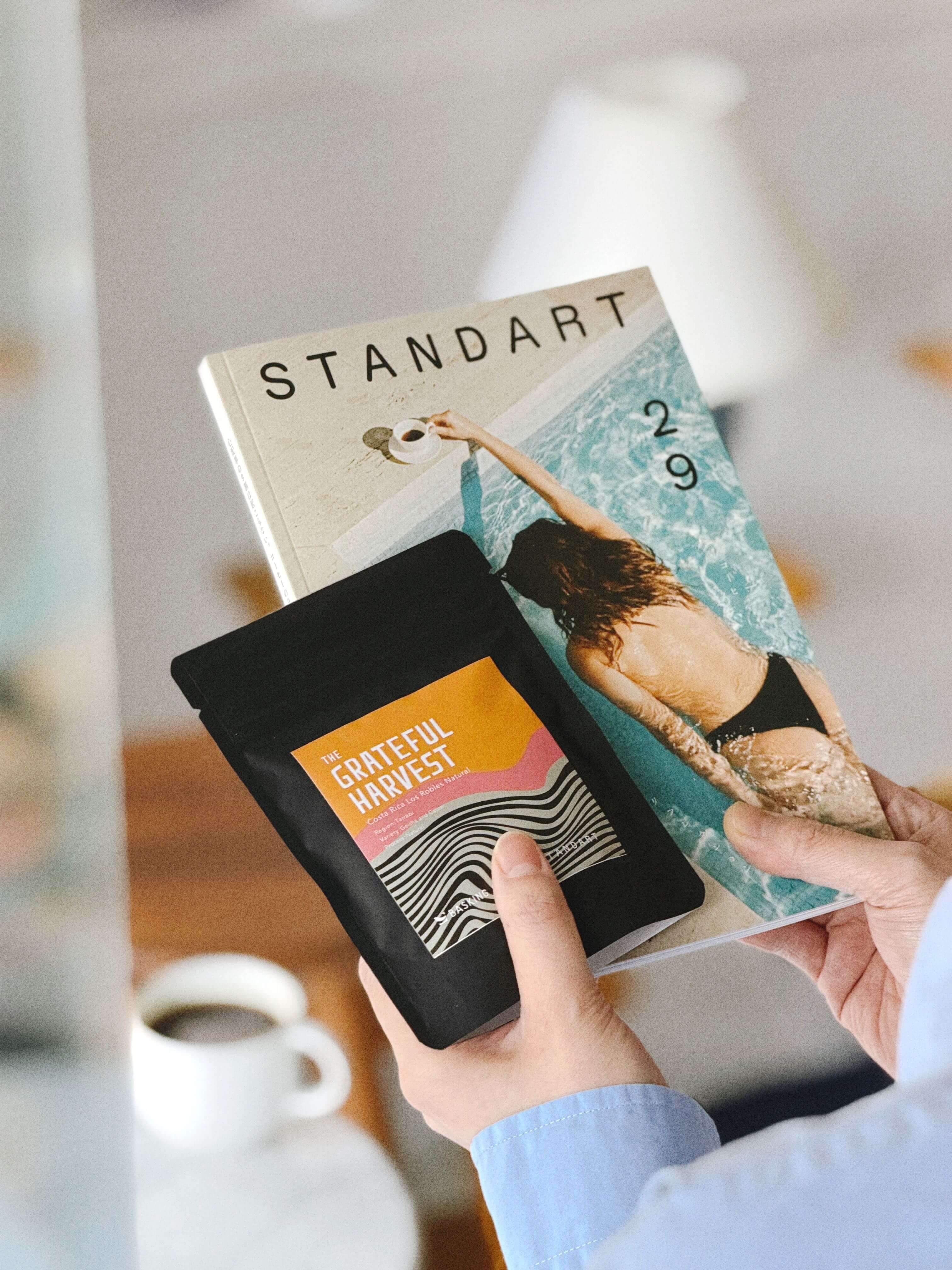 STANDART 雑誌セット 25,27,28,29,30 トライアル購読(初回無料) - Standart Japan 第29号