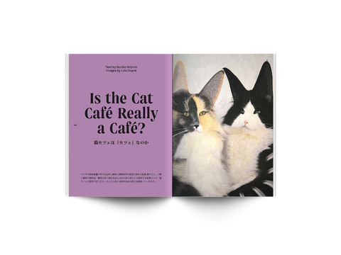 #16: 台風、スコーン、コーヒー