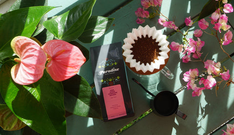 地上の楽園ハワイで一気通貫なコーヒー生産を目指すParadise Coffee Roasters