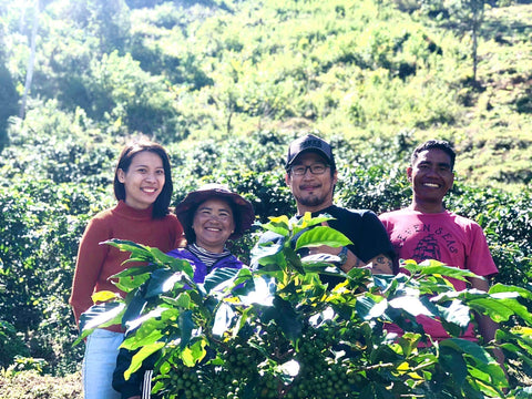 SampleCoffee | Lang Biang Coffee Project