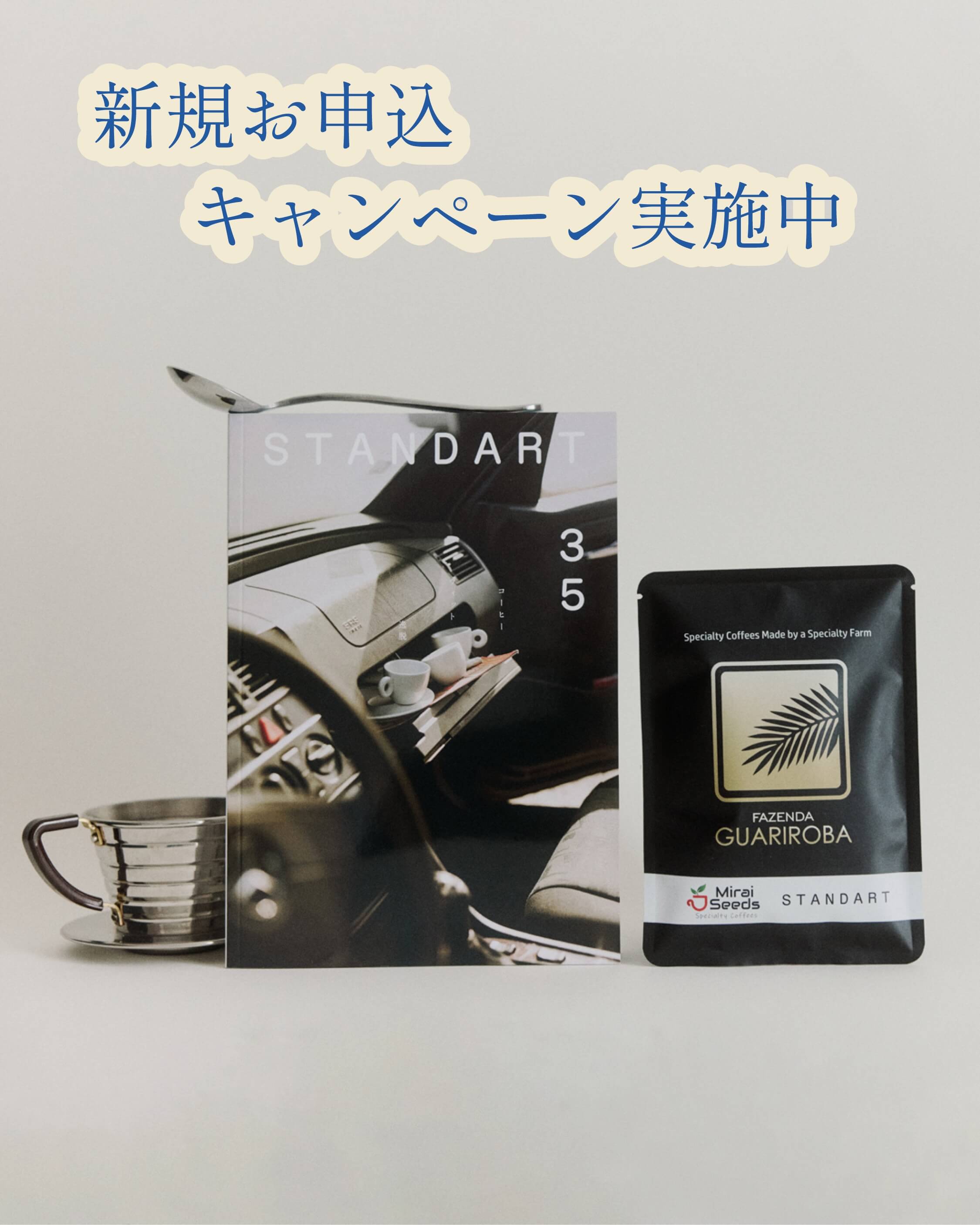 STANDART 雑誌セット 25,27,28,29,30 年間定期購読 – Standart Japan