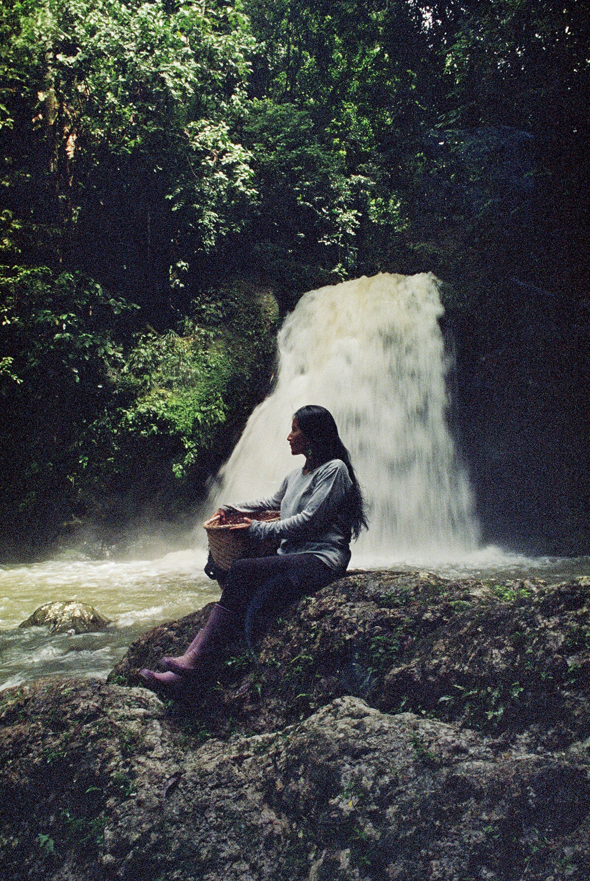 1 : 世界チャンプ、Seed to Cup、じゃがいも – Standart Japan