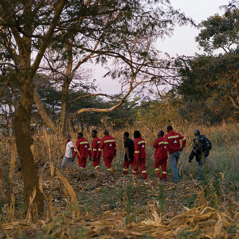 オリジンプロフィール：ザンビア